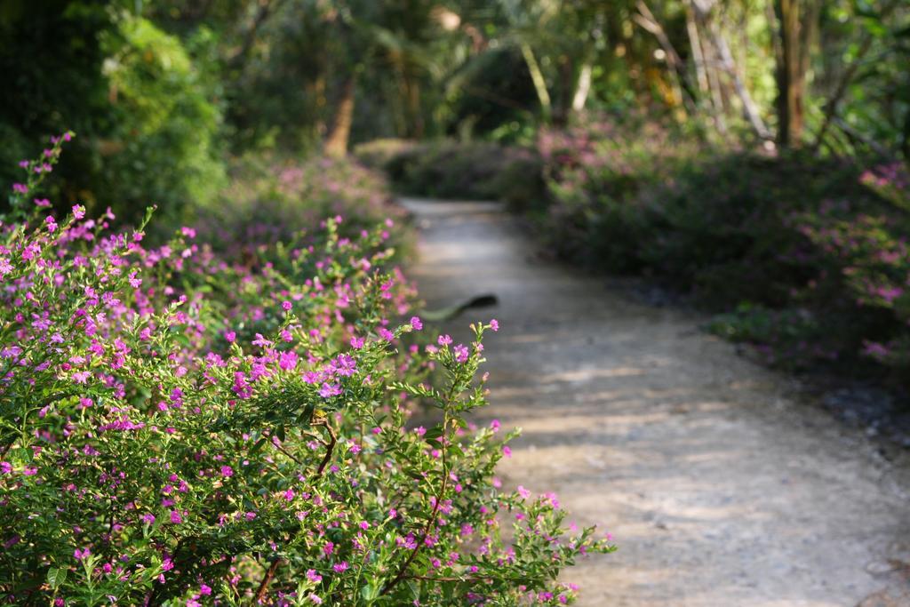 Mekong Rustic Cai Be Daire Dış mekan fotoğraf
